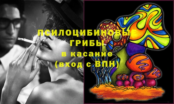a pvp Аркадак