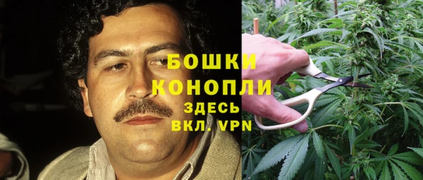 apvp Арсеньев