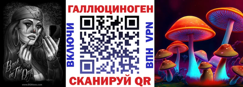 сколько стоит  Нурлат  Галлюциногенные грибы MAGIC MUSHROOMS 